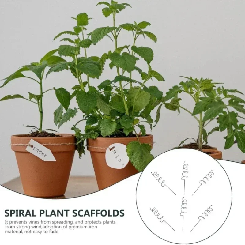 Climbing Plant Support Stake S - Plant Support Stake 评论和价格