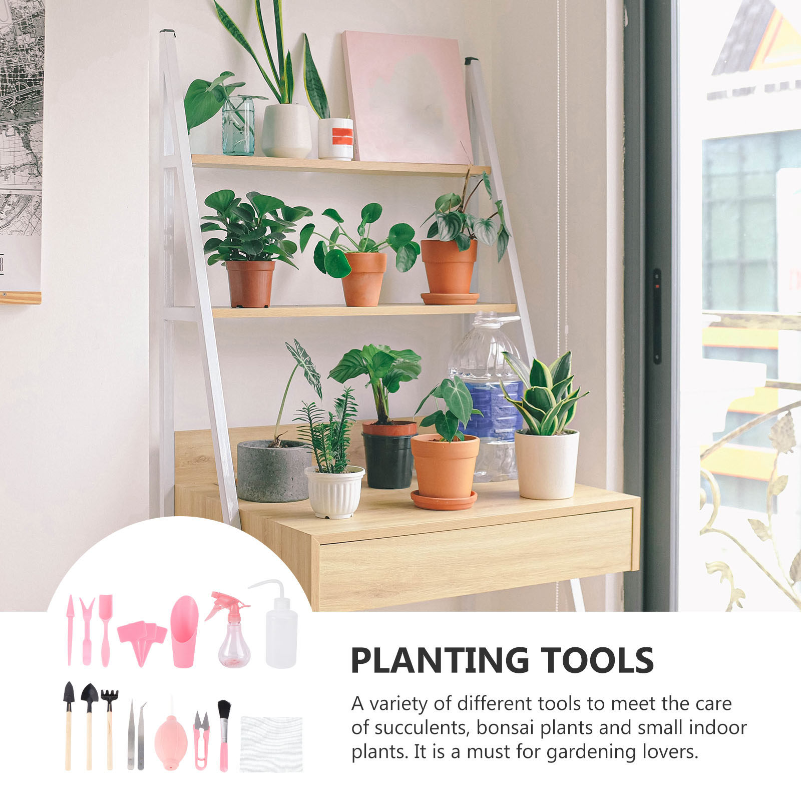 1Set Mini Succulent Planting T - Gardening Tools And Accessories 评论和价格