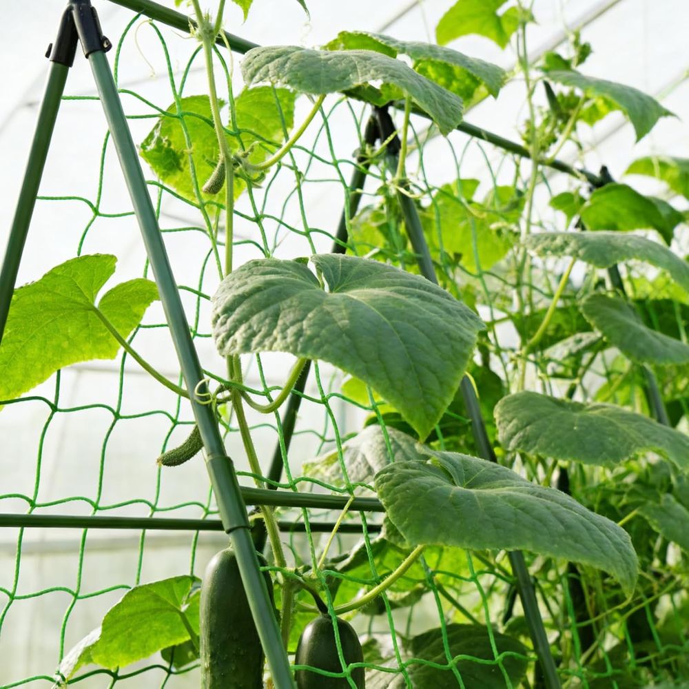 50 Pack 58-Inch Tomato Plant S - Plant Support Stake 评论和价格