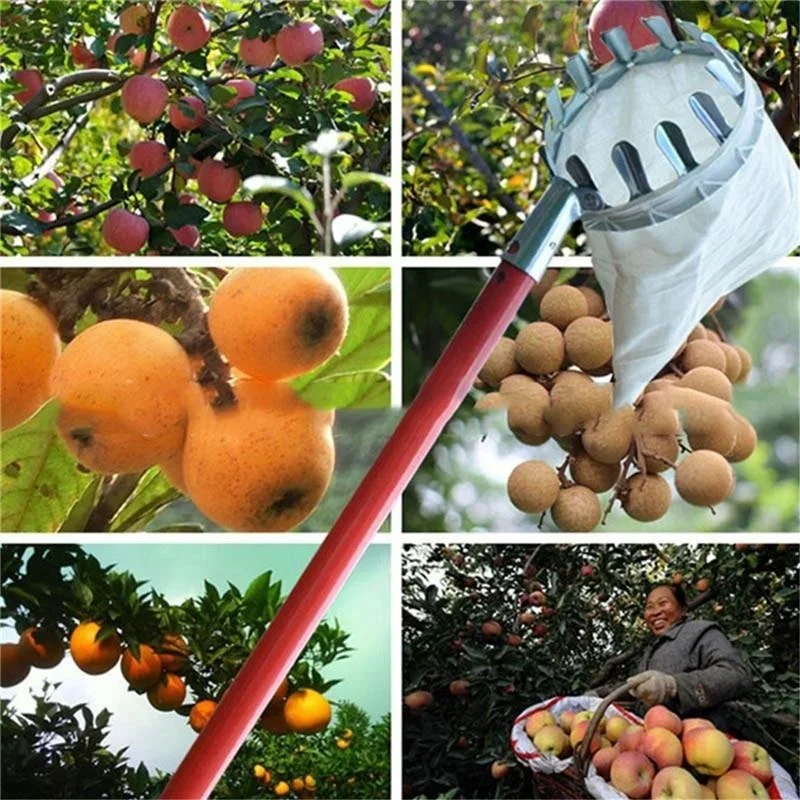 Garden Fruit Picker, Telescopi - Gardening Tools Scissors 评论和价格