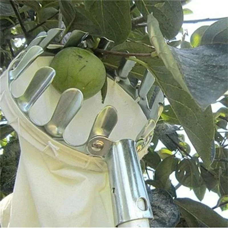 Garden Fruit Picker, Telescopi - Gardening Tools Scissors 评论和价格