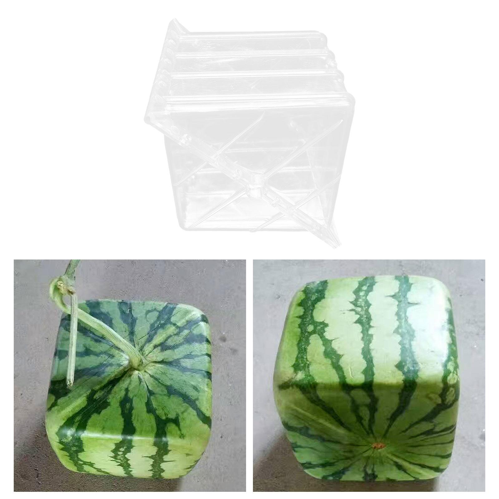 Square Watermelon Growth Mould - Gardening Tools Unique 评论和价格