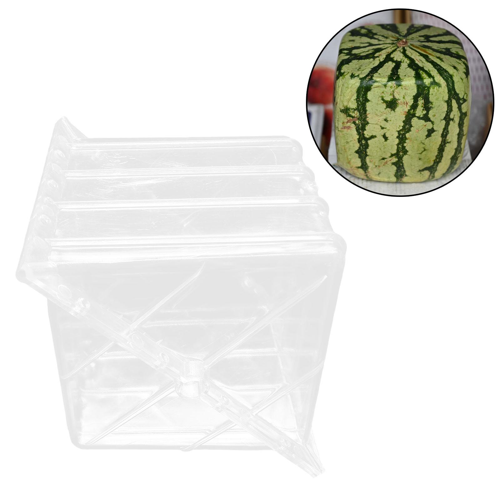 Square Watermelon Growth Mould - Gardening Tools Unique 评论和价格