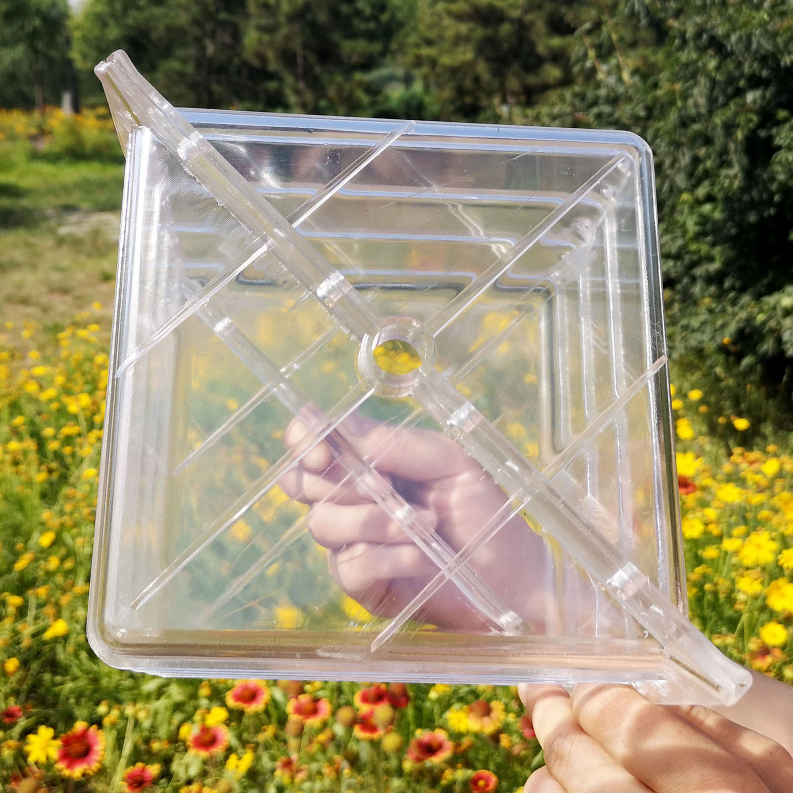 Square Watermelon Growth Mould - Gardening Tools Unique 评论和价格
