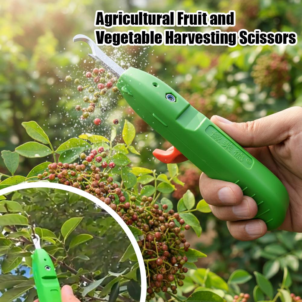 Fruit And Vegetable Picking Sh - Gardening Tools Scissors 评论和价格