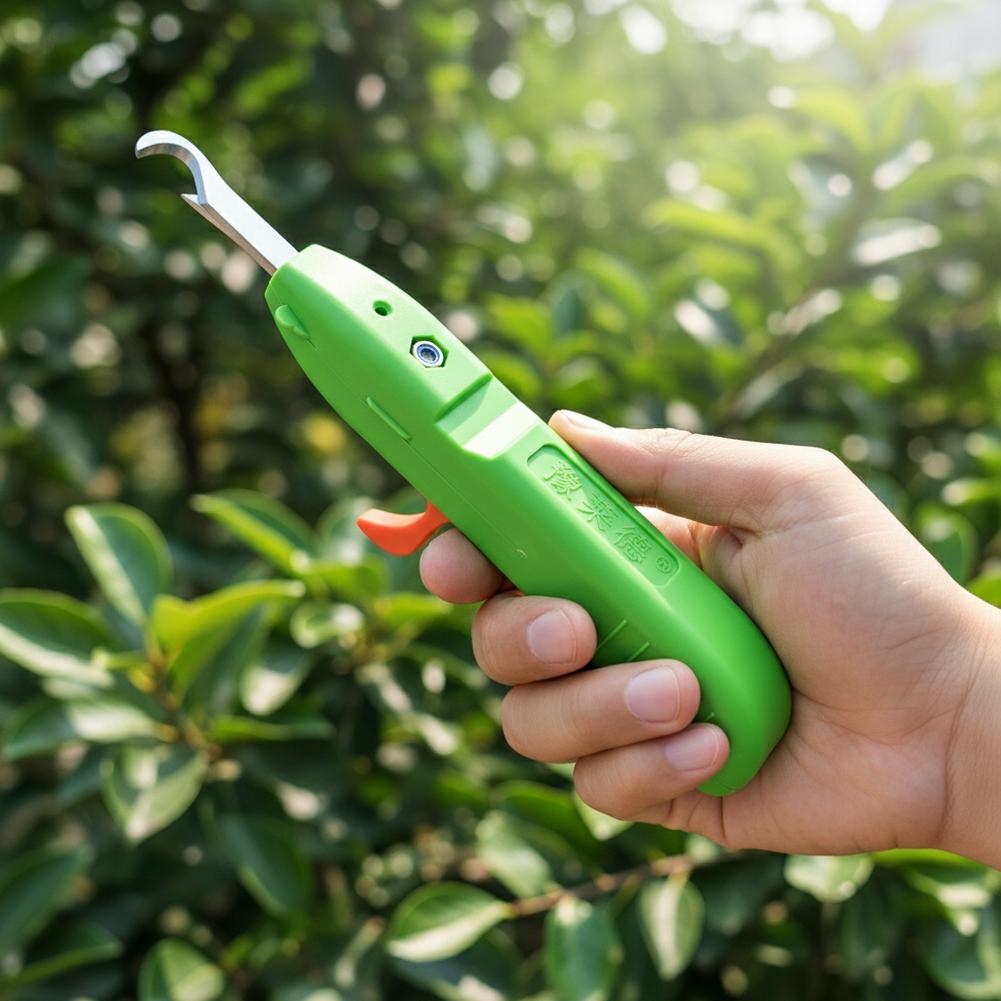 Fruit And Vegetable Picking Sh - Gardening Tools Scissors 评论和价格