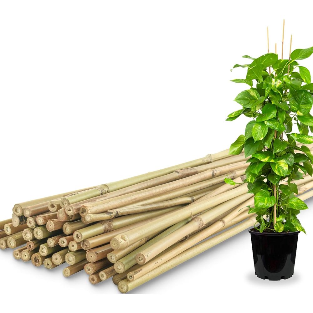 50 Pack Bamboo Plant Stakes fo - Plant Support Stake 评论和价格