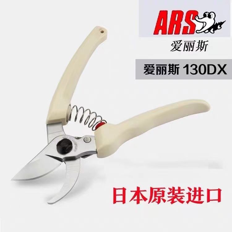 Pruning scissors, garden tools - Gardening Tools In Japan 评论和价格