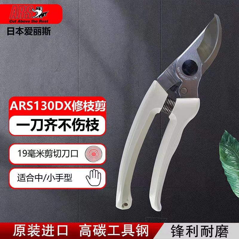 Pruning scissors, garden tools - Gardening Tools In Japan 评论和价格