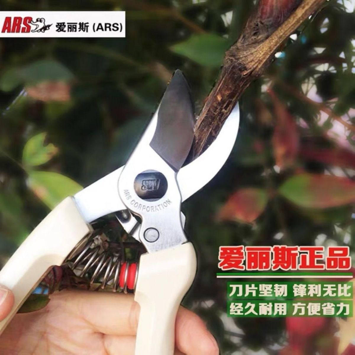 Pruning scissors, garden tools - Gardening Tools In Japan 评论和价格