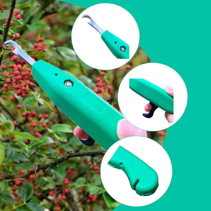 Professional Pepper Picker Han - Gardening Tools Scissors 评论和价格