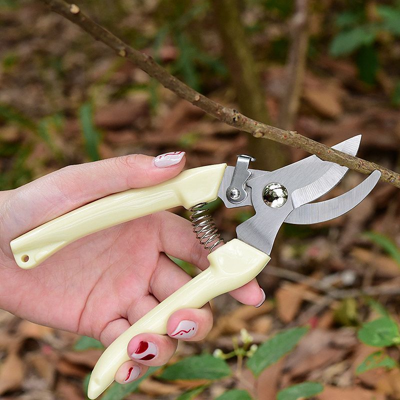 Labor‑Saving Garden Pruning Sh - Gardening Tools Scissors 评论和价格