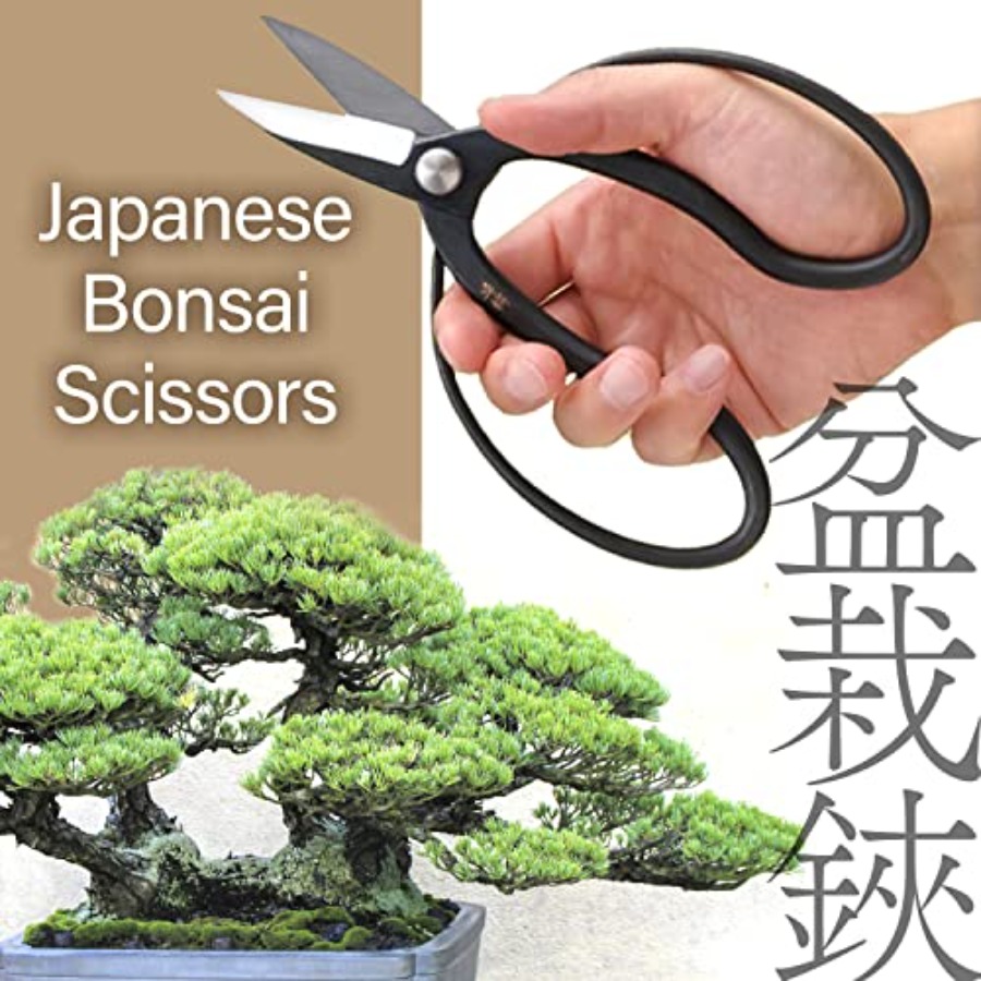 Japanese Suiryu Bonsai Scissor - Gardening Tools In Japan 评论和价格