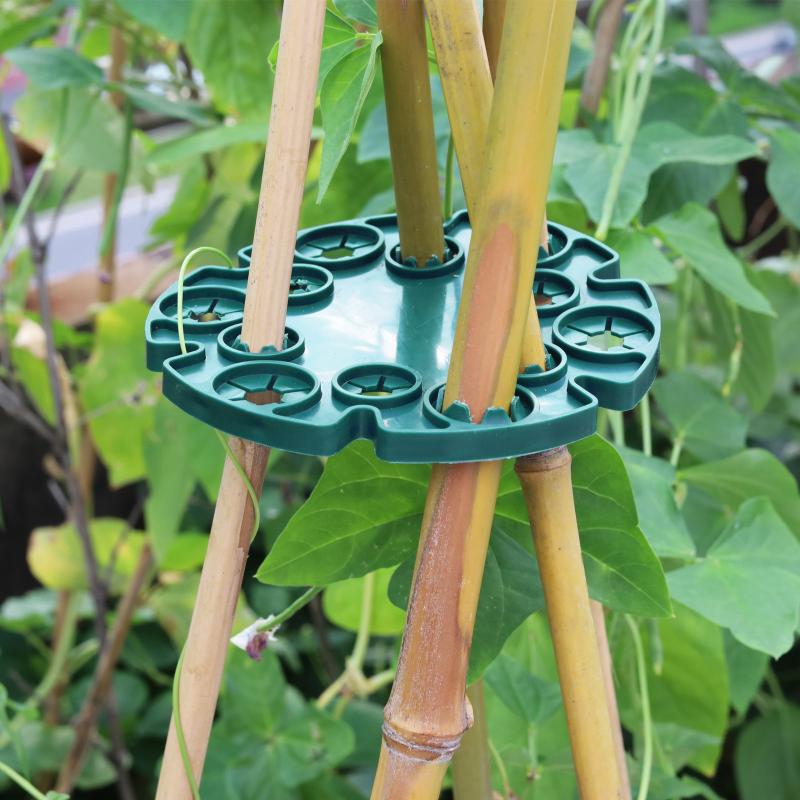 Garden Trellis Plastic Plant S - Plant Support Stake 评论和价格