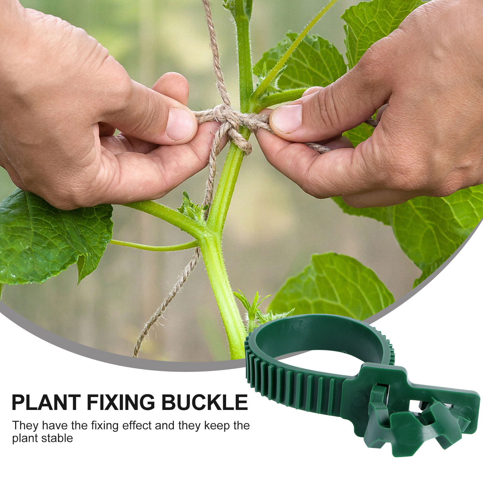 20Pcs Vine Fixing Buckle Garde - Plant Support Stake 评论和价格