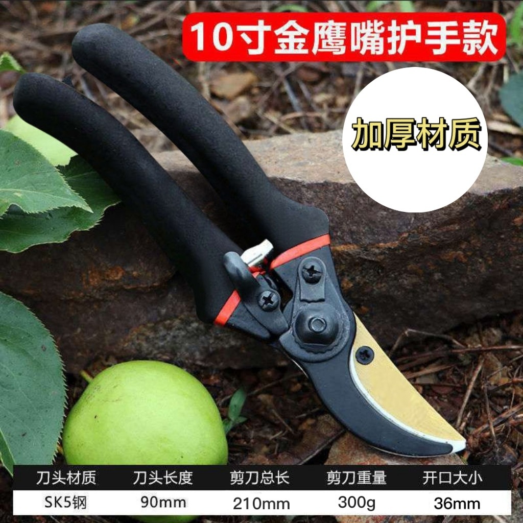 Japan Thickened SK5 Steel Bran - Gardening Tools In Japan 评论和价格