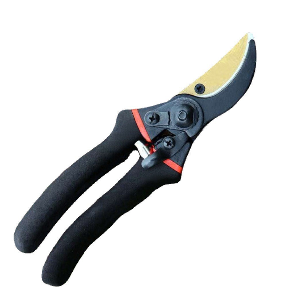 Japan Thickened SK5 Steel Bran - Gardening Tools In Japan 评论和价格