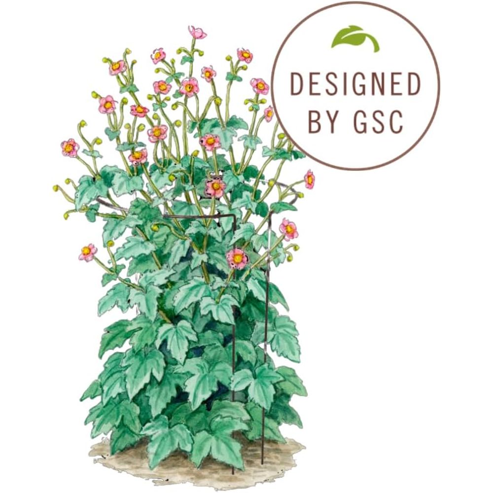 Metal Garden Plant Stakes | Du - Plant Support Stake 评论和价格
