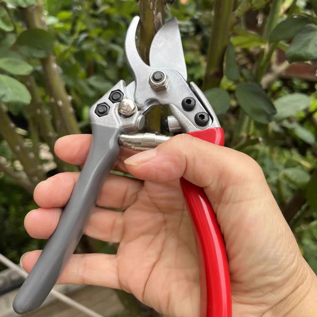Japan Vvt New Sk5 Strong Garde - Gardening Tools In Japan 评论和价格